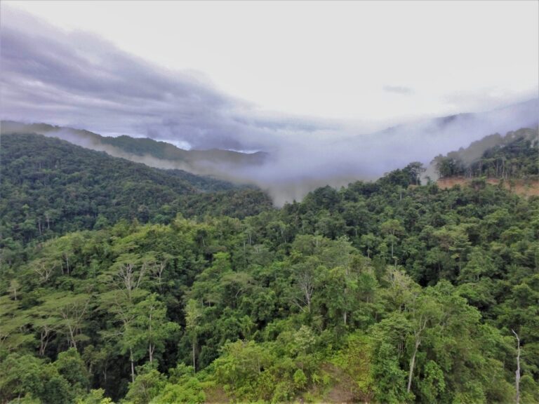 renungan papua manasye terdesak